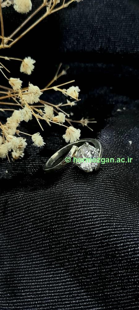 نمونه کار بانوی رتبه اول/ فرزانه مسجدی